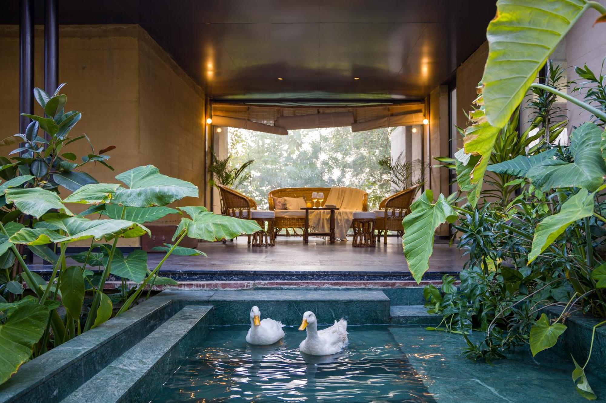Elivaas Hari Bagh 4 Bhk Villa With Gaming Zone & Art Nook Dzsaipur Kültér fotó