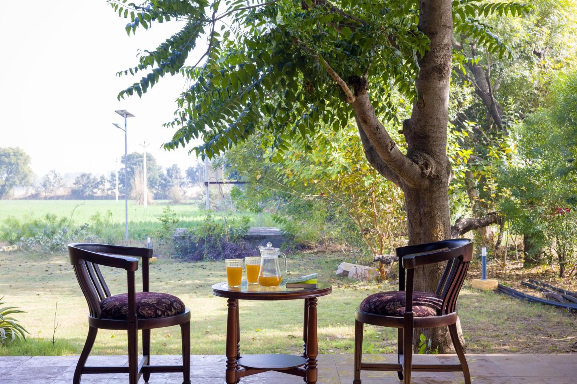 Elivaas Hari Bagh 4 Bhk Villa With Gaming Zone & Art Nook Dzsaipur Kültér fotó